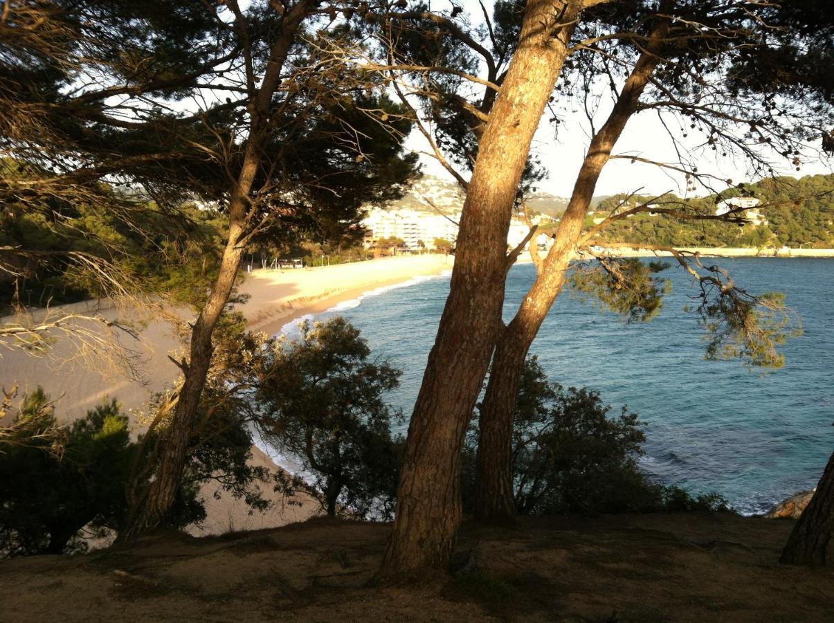 Villa Zen Costa Brava Lloret de Mar