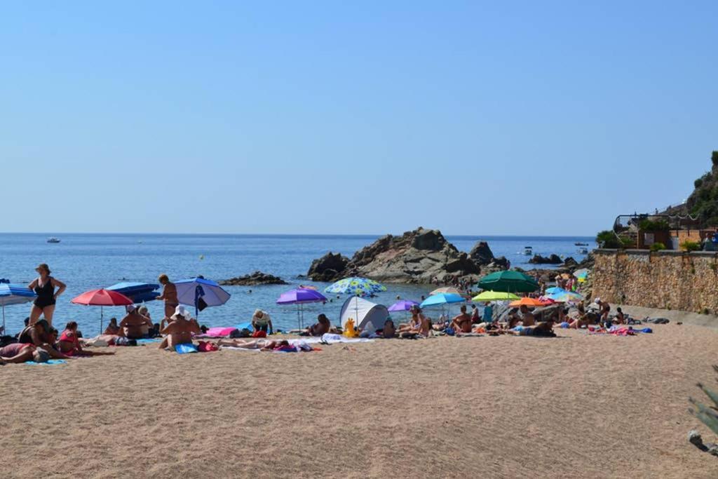 Apartamento- Estudio Aloe Apartamento Lloret de Mar