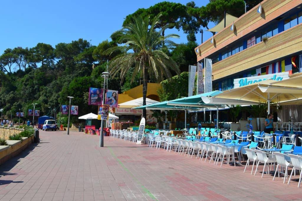 Apartamento Apartamento- Estudio Aloe