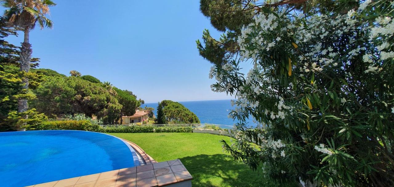Al Lado Del Mar Tortuga 12 Villa