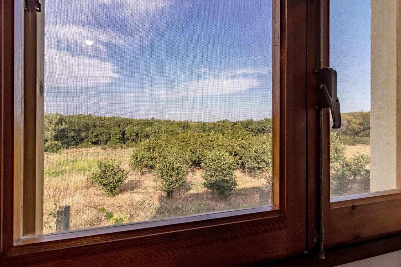 Holiday home Pons De Dalt A La Selva