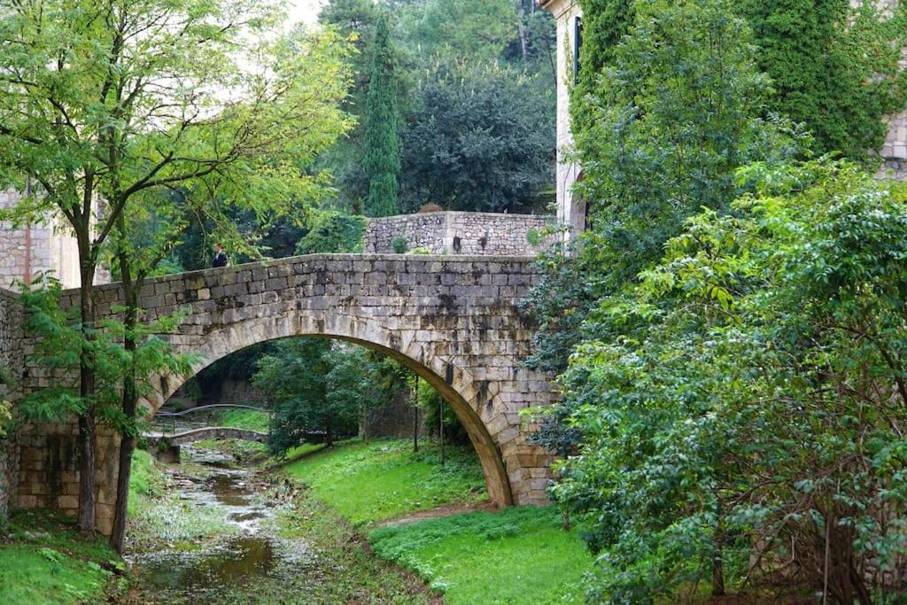 Centro 7pax * Girona